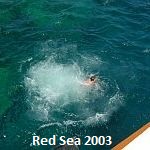 Red Sea 2003